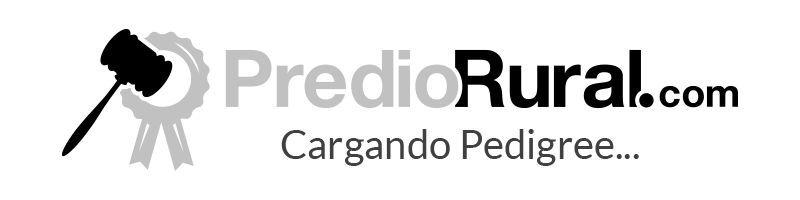 Cargando Cargando