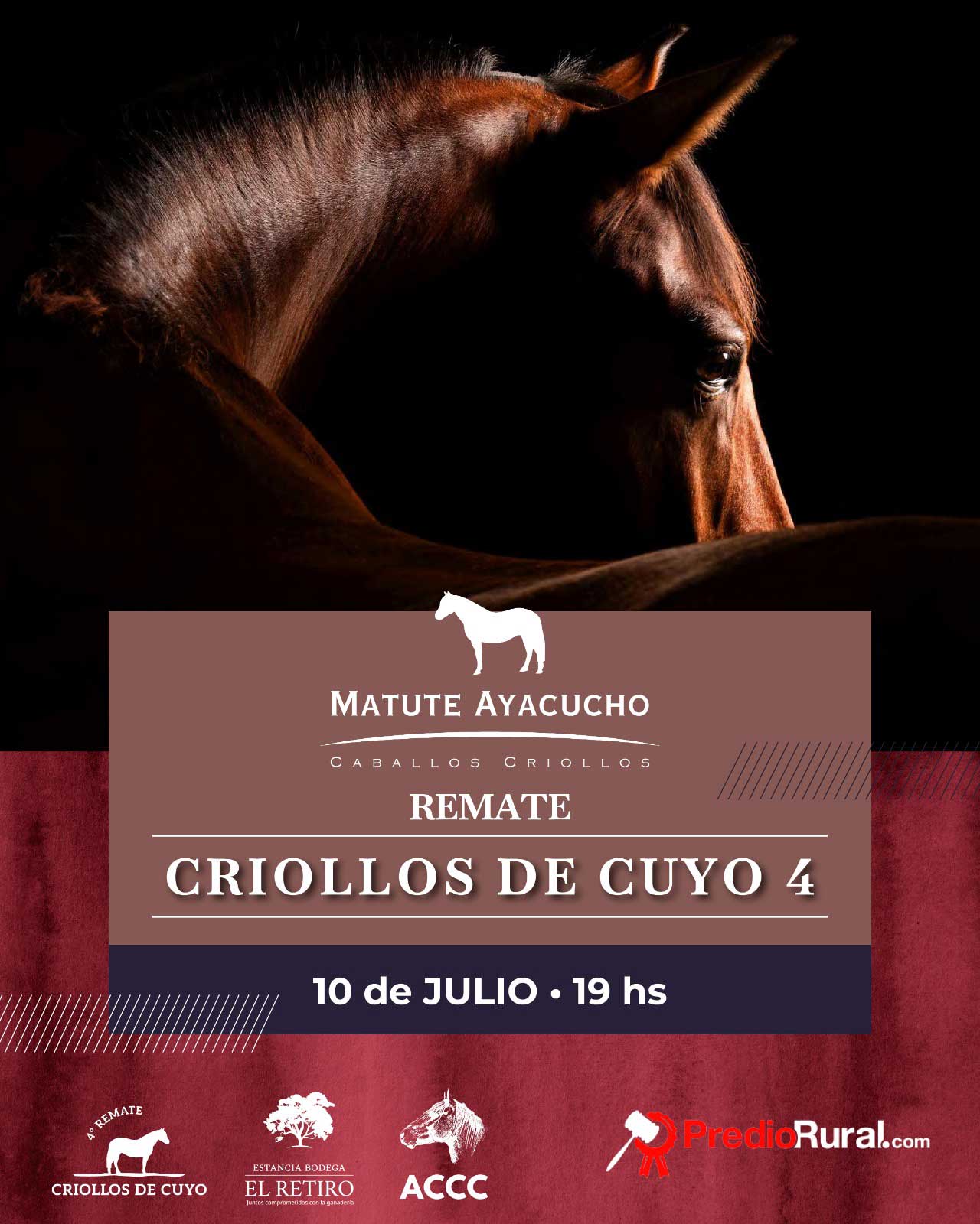 Remate Criollo de Cuyo 4