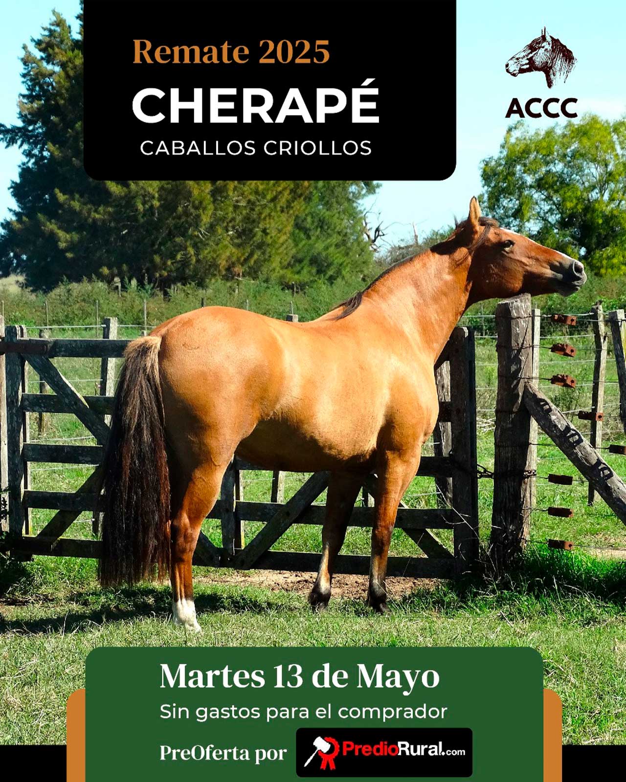 Remate CHERAPÉ
