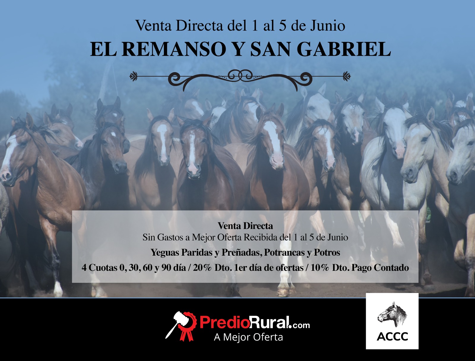 Remate La Estrella